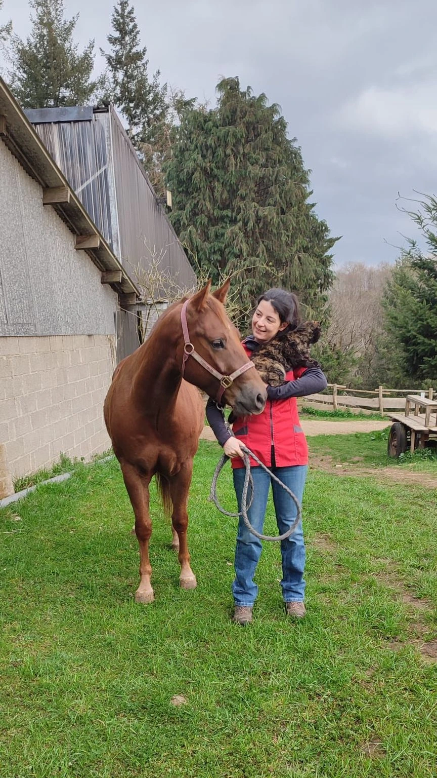 Fanny Peiro vétérinaire equin à domicile